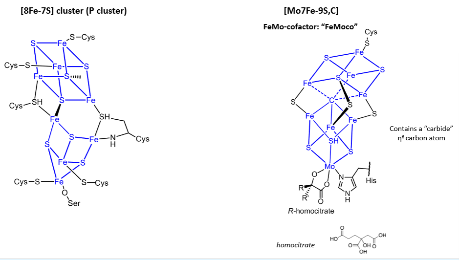 <p>What are these used for?</p>