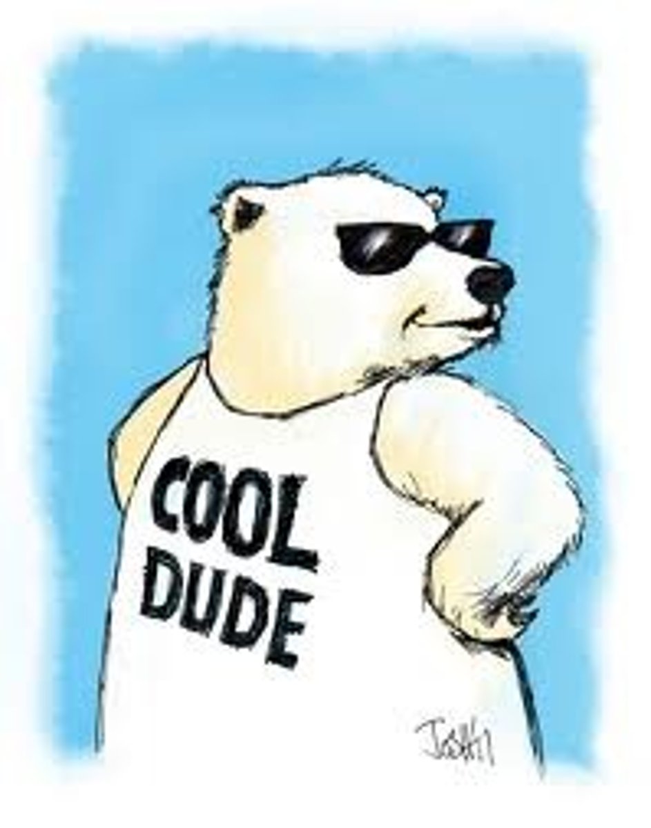 <p>amigo, compañero, persona desconocida (dude)</p>