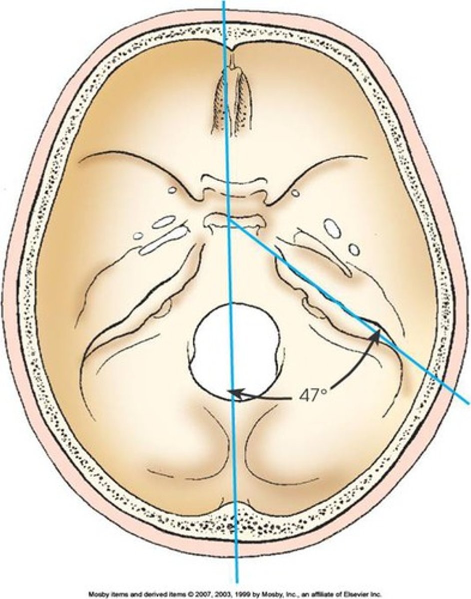 <p>Mesocephalic, 47 degrees</p>