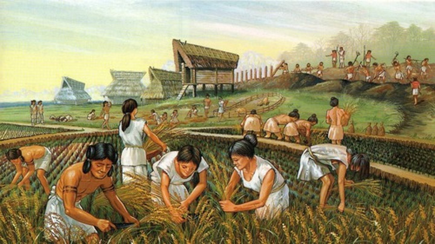 <p>-As agriculture began to spread, there was an even bigger increase in coerced [forced] labor as the elite classes did not want to work in agriculture or work in construction building large things. There were several types of forced labor:</p><p>-Chattel slavery = total ownership of the enslaved person, who had no human rights (the slavery most American students know the most about-the harshest form of slavery,--used in Southern United States, Caribbean, Latin America, Eurasia)</p><p>-Serfdom--not fully enslaved, but tied to the land and owe allegiance, work, and profits to the lord--found in Europe, Russia, and Japan</p><p>-Indentured Servitude--5 to 7 years of forced labor--Americas, Europe</p><p>-Mit'a System--1/7th of population used to build things under forced labor--The Incan Empire; Spanish Empire in South America</p><p>-Encomienda System--forced labor on hacienda plantations in return for "Christianity"-- Spanish Empire in South America</p><p>-Hacienda System; forced labor on plantations in Spanish Empire in South America</p><p>-Most of these forms of coerced labor died out in Era 3, 1750 - 1900 CE, as the effects of the Enlightenment spread around the world. However, there was still forced labor in many European colonies and there is still child labor and other unfair practices around the world today.</p>