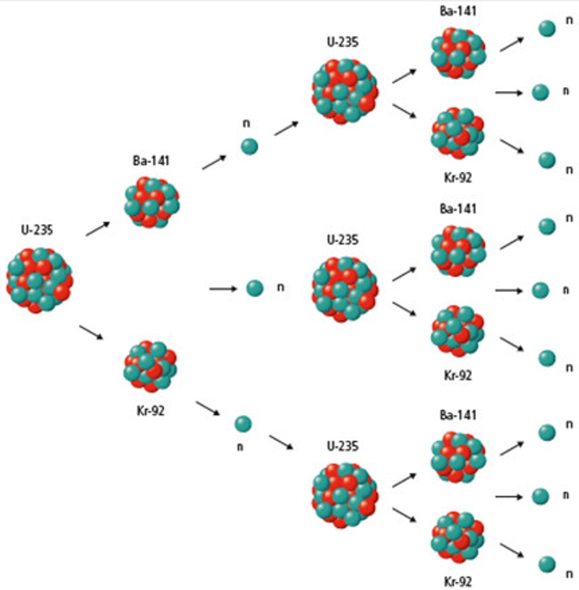 <p>a series of fission reactions caused by neutrons being emitted and splitting other nuclei</p>