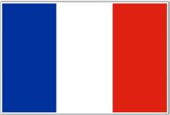 <p>French</p>