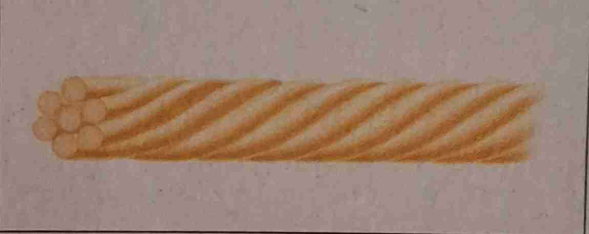<ul><li><p>białko budulcowe – tubulina</p></li><li><p>budowa – puste wewnątrz</p></li><li><p>występowanie w komórce – są one dynamicznymi strukturami które mogą znikać i znowu się pojawiać oraz wydłużać się lub skracać</p></li></ul>