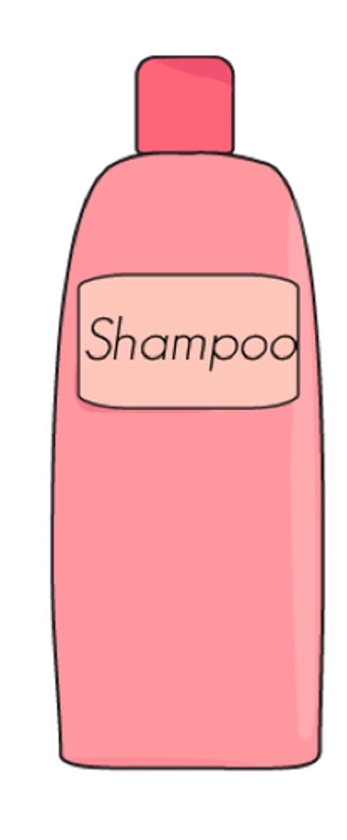 <p>shampoo</p>