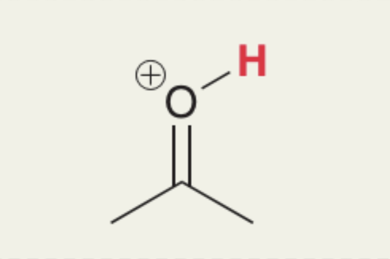 <p>Protonated carbonyl, ketones, aldehydes, esters </p>