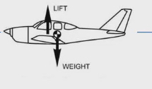 <ul><li><p>Hypothesis #1: Well if you have no teeth, jaw is lighter. Helps birds be lighter to fly</p><ul><li><p>But gizzard is just as heavy</p></li></ul></li><li><p>Hypothesis now: improving efficiency of bird flight. Just like planes, efficiency of flying objects is highest when centre of mass (gravity pulling on you the most) = centre of lift (whatever helps them fly, wings for bird)</p></li><li><p>This alignment means that you are pushing up at same spot gravity is pulling you down, maintain good level flight</p></li><li><p>Teeth located at front of body, but wings are at centre of body then centre of mass is not equal to centre of lift, and there would be no efficient flying</p></li></ul><p></p>