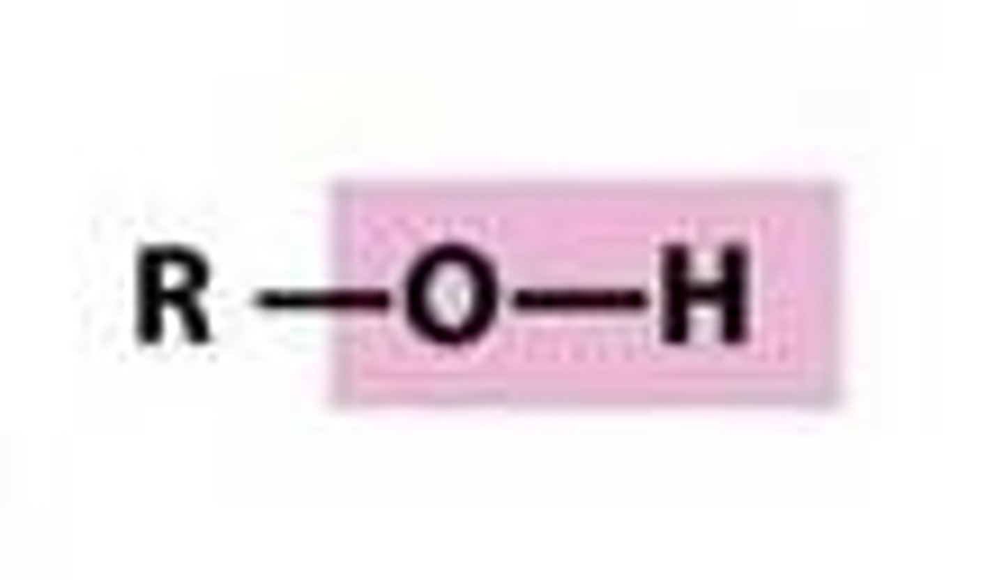 <p>-aan R group bonded to an OH</p>