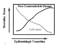<p>The Epidemiological Transition</p>