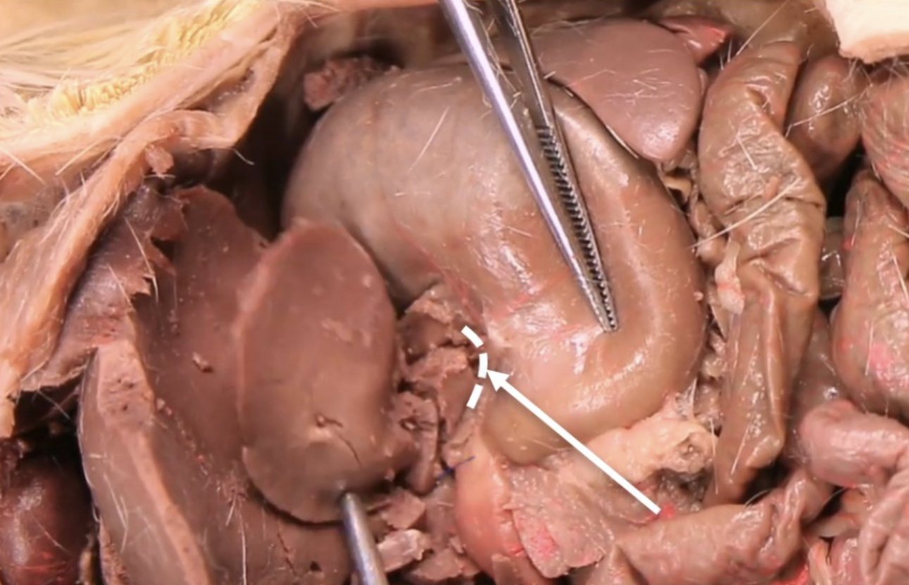 <p>What is this?</p>