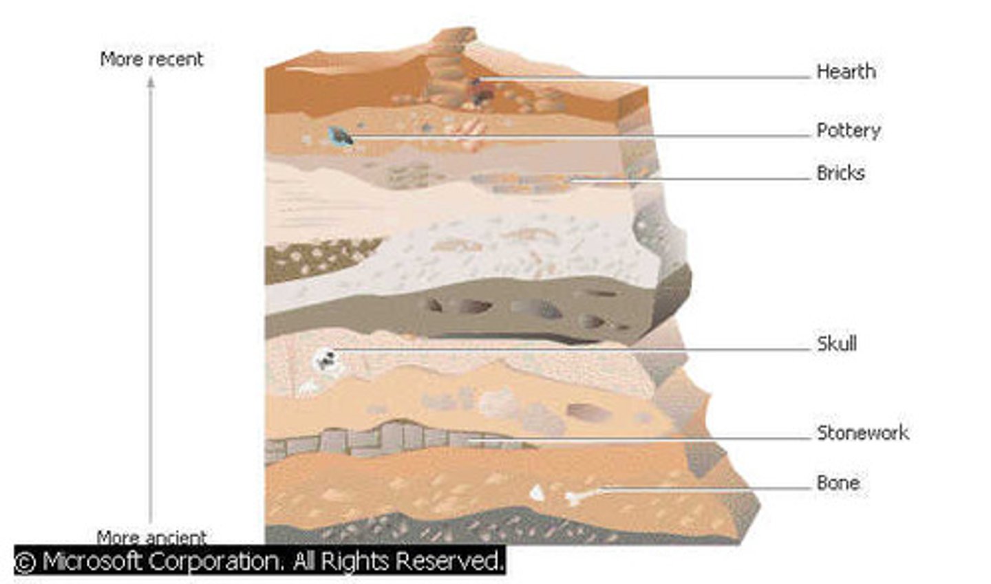 <p>A layer or a series of layers of rock in the ground: a stratum of flint.</p>