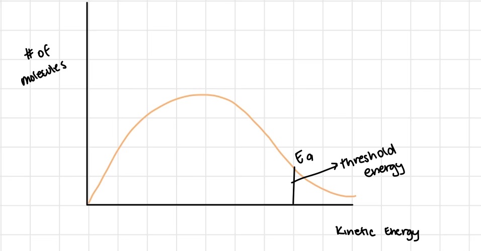 <p>It represents all molecules at a specific temperature from low kinetic energy to high kinetic energy (some are moving faster and some are moving slower, even though in the same temperature)</p>