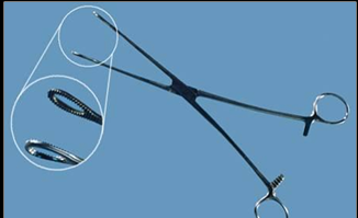 <p>Identify Forceps</p><p>Job</p>