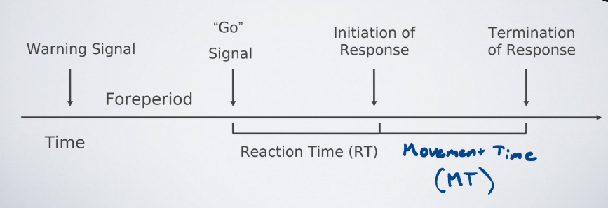 <p>The interval of time between the initiation of a movement and the completion of the movement.</p>