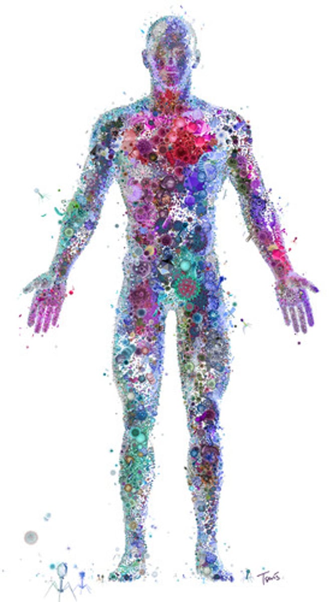 <p>all of the microorganisms that live in a particular environment, such as a human body</p>