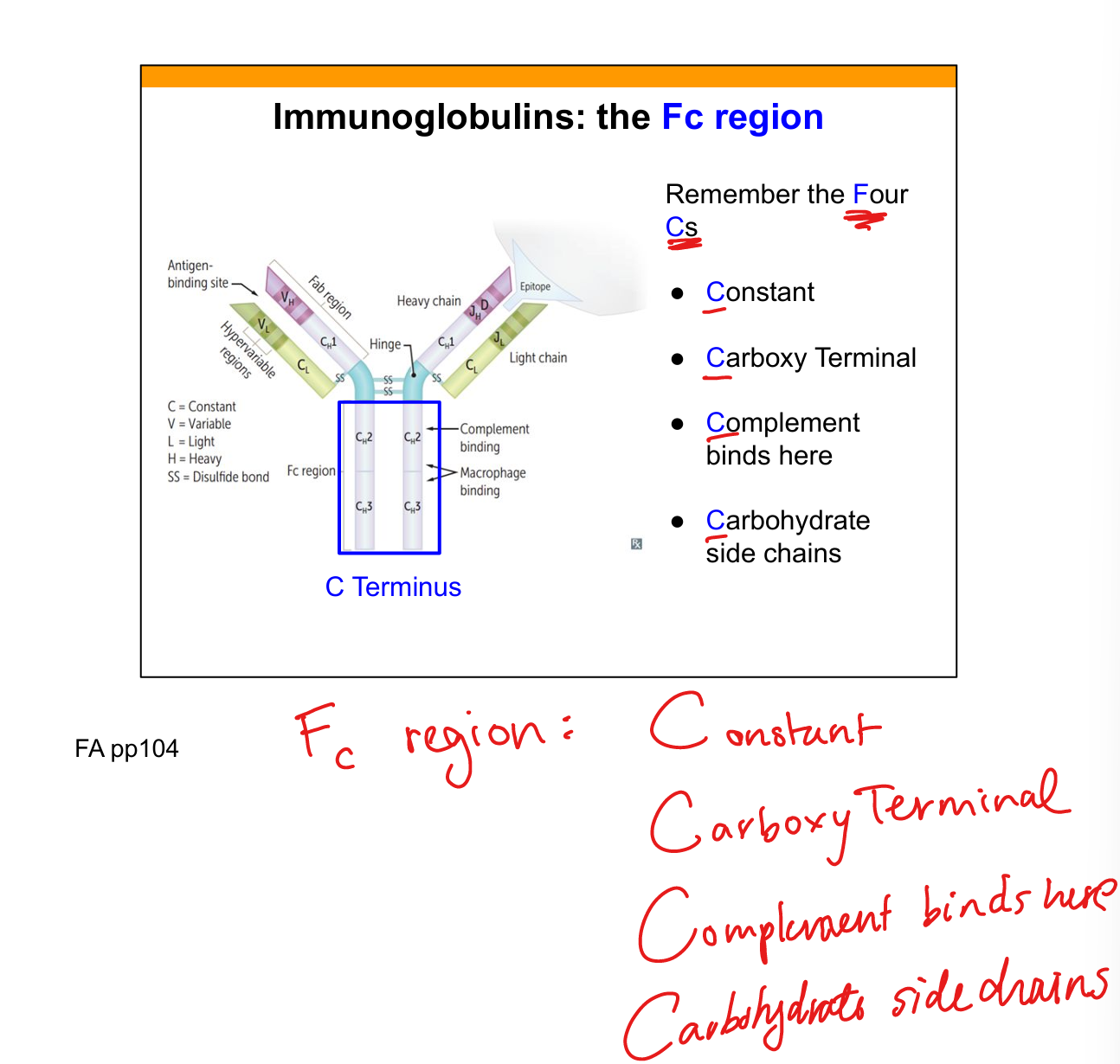 knowt flashcard image