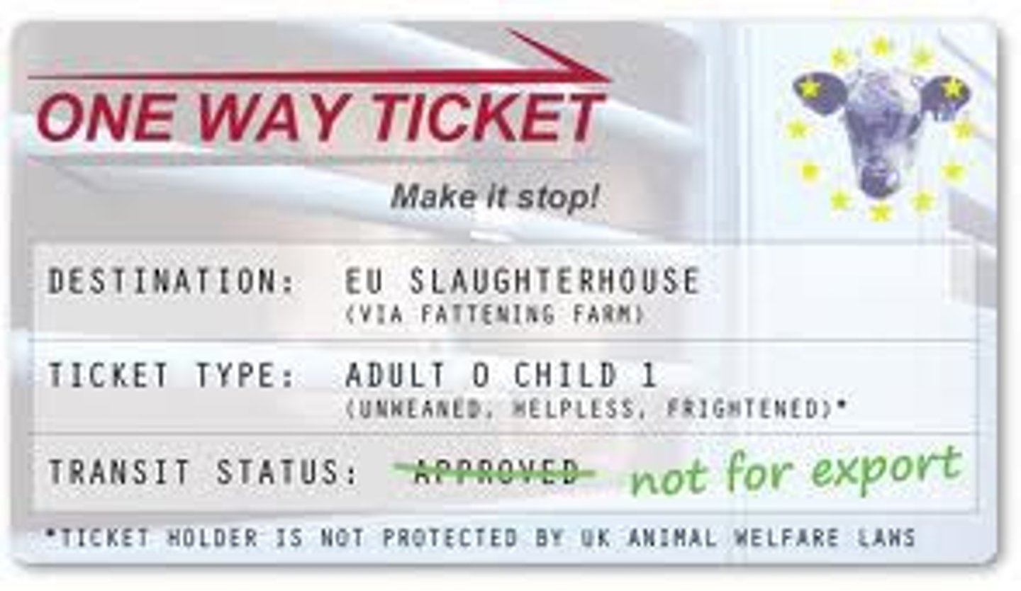 <p>one-way ticket</p>