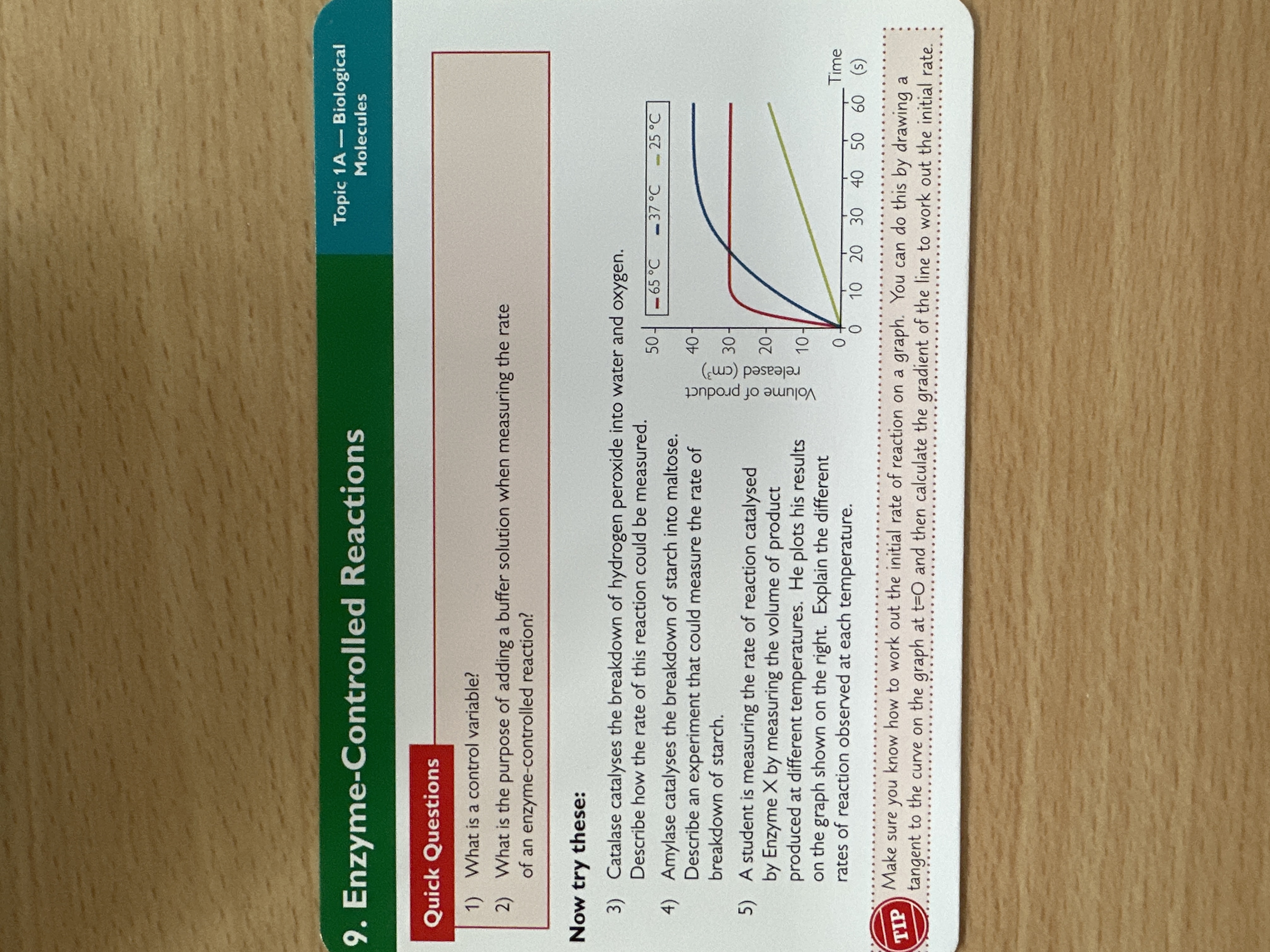 Enzyme controlled reactions 