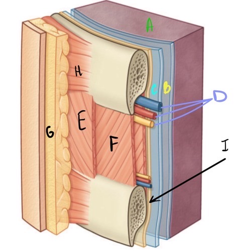 <p>Co vede tímto obrázkem? </p>