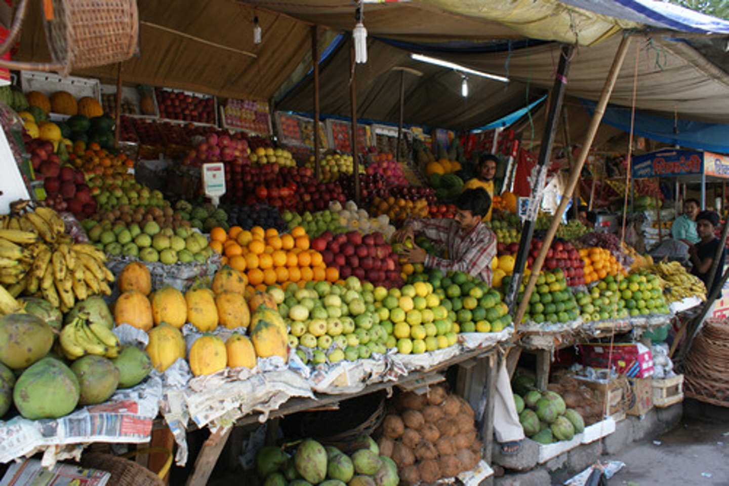<p>Agriculture intended for commercial sale to make a profit, often associated with intensive farming for higher profits.</p>