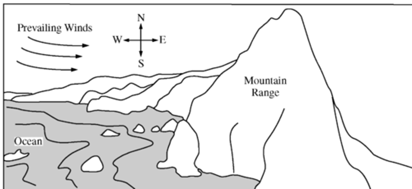 <p>scroll for answer</p><p>.</p><p>.</p><p>.</p><p>.</p><p>.</p><p>.</p><p>.</p><p>.</p><p>.</p><p>.</p><p>.</p><p>.</p><p>.</p><p>.</p><p>.</p><p>.B. More precipitation &amp; More-extreme temperatures</p>