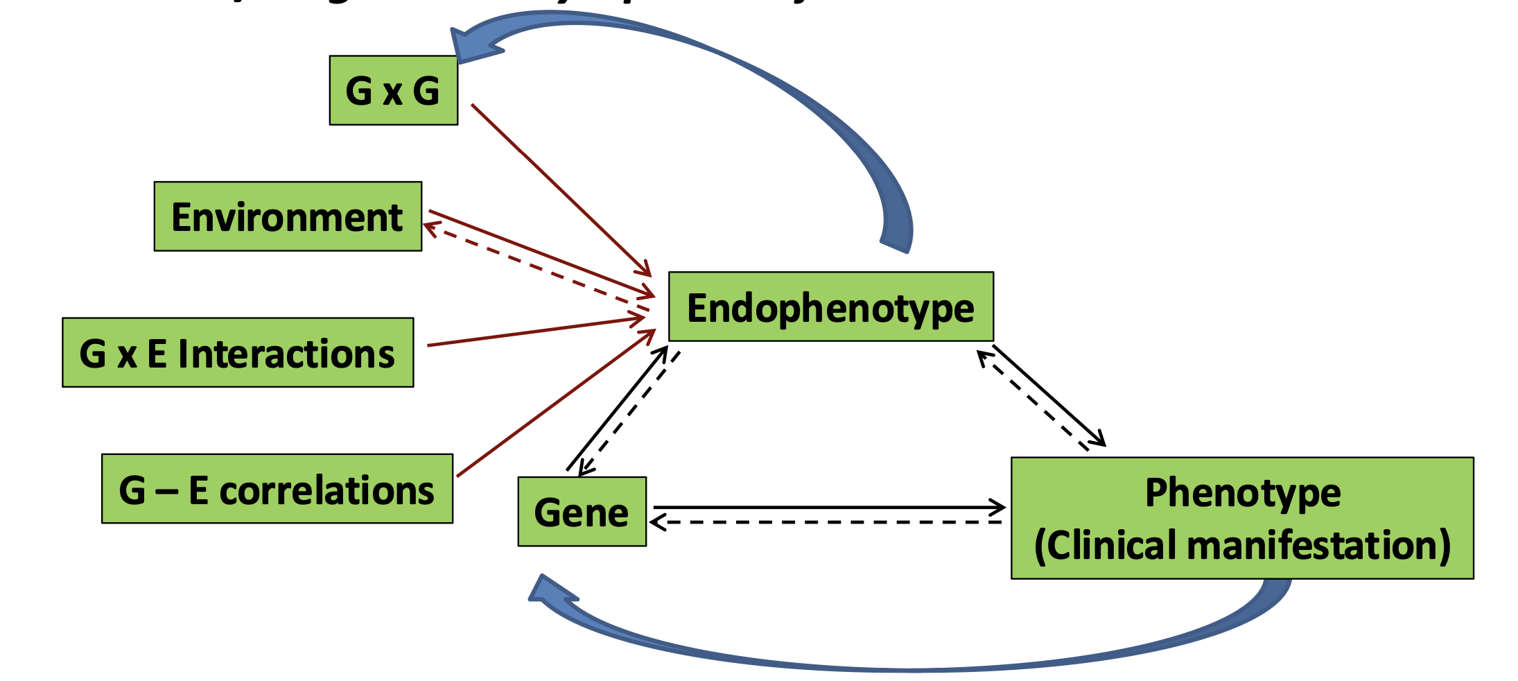 <p><strong>Endophenotypes in schizophrenia</strong> are <strong>measurable traits</strong> that connect <strong>genetic factors</strong> to the <strong>symptoms</strong> of the disorder. They are <strong>invisible signs</strong> of the condition that can be tested and may appear in both <strong>patients</strong> and their <strong>relatives</strong>.</p><p class=""><strong>Examples</strong> include <strong>impaired working memory</strong>, <strong>abnormal eye movement</strong>, and <strong>reduced attention</strong>—these traits are linked to the <strong>genetic causes</strong> of schizophrenia but are not direct symptoms like hallucinations or delusions.</p>