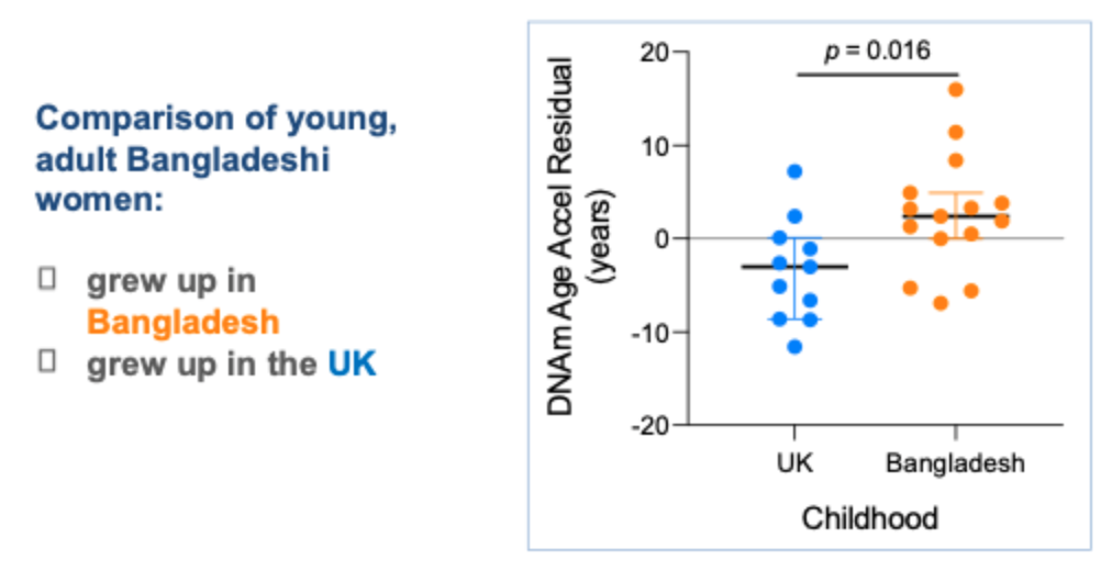 <p>Influence on DNA methylation patterns and ageing?</p>