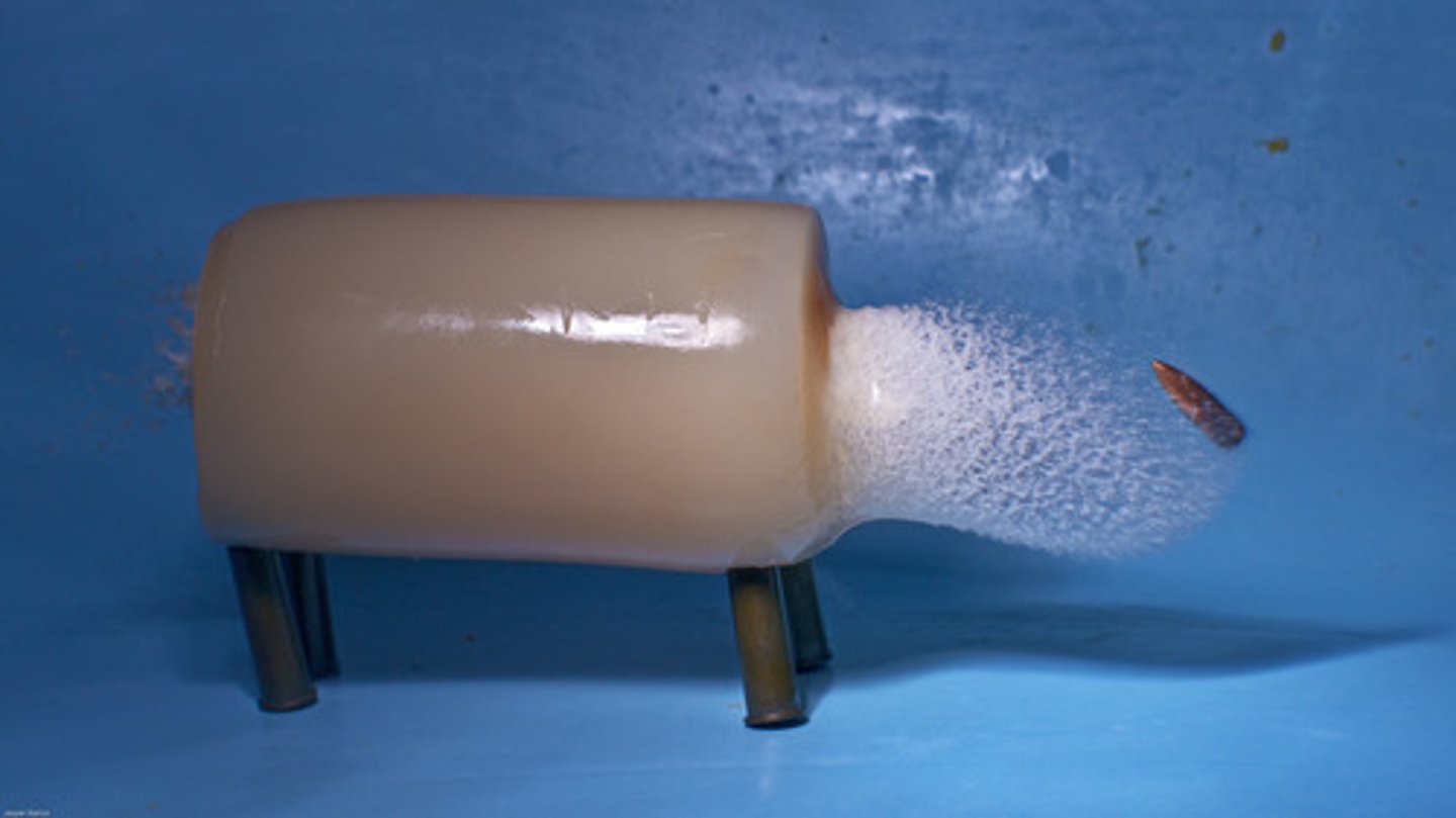 <p>the science that deals with the motion, behavior, and effects of projectiles, most often firearms and bullets.</p>