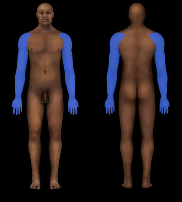 Upper Limb Region