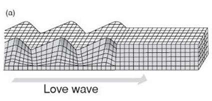 <p>entirely horizontal, but transverse to the propagation of the waves</p>