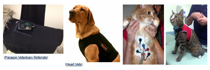 <p>Ambulatory Monitoring </p>