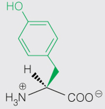 <p>Full</p>