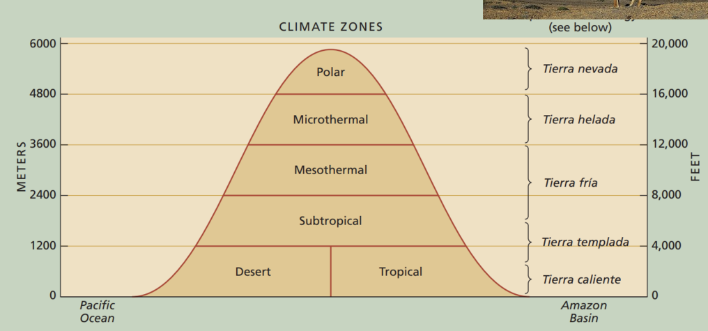 <p>highland climates:<strong> H</strong></p>