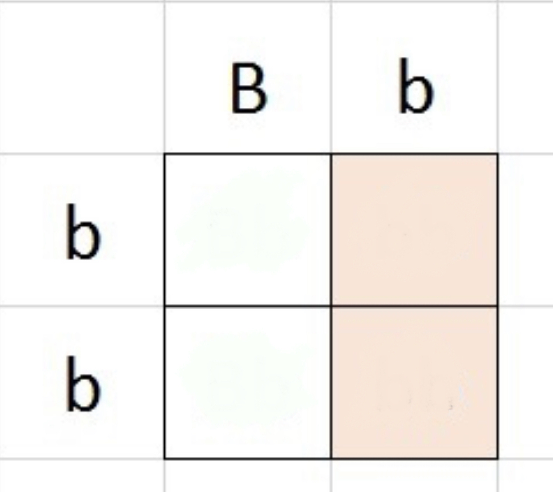 <p>complete this 2x2 punnet square and predict the phenotype and genotype ratios</p>