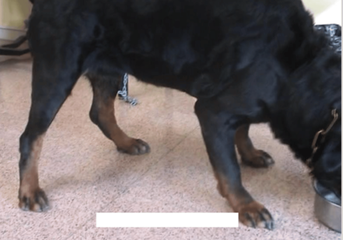 <p>what do we call this posture?</p>