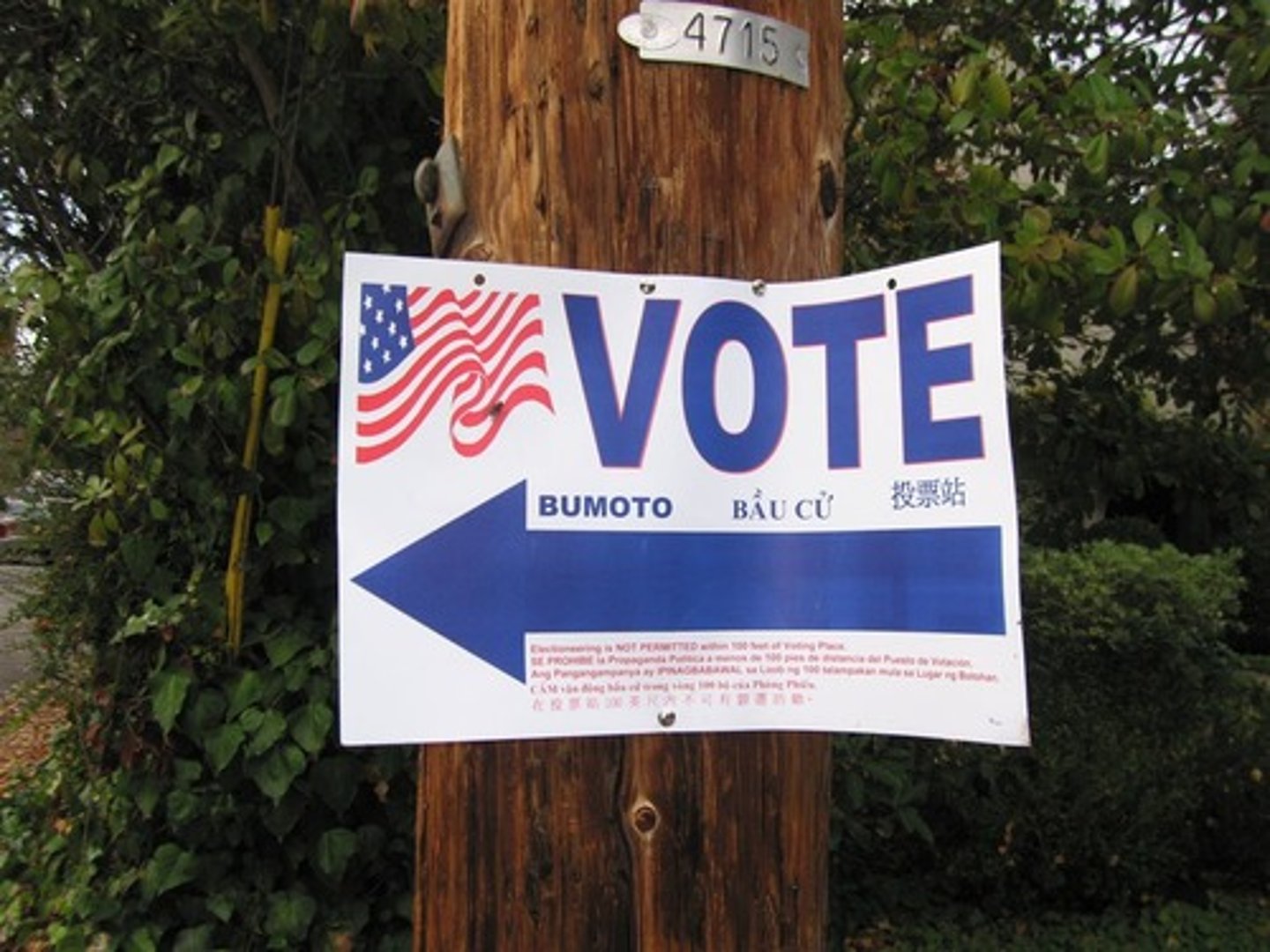 <p>What are <span style="text-decoration:underline">two</span> ways that Americans can participate in their democracy?</p>