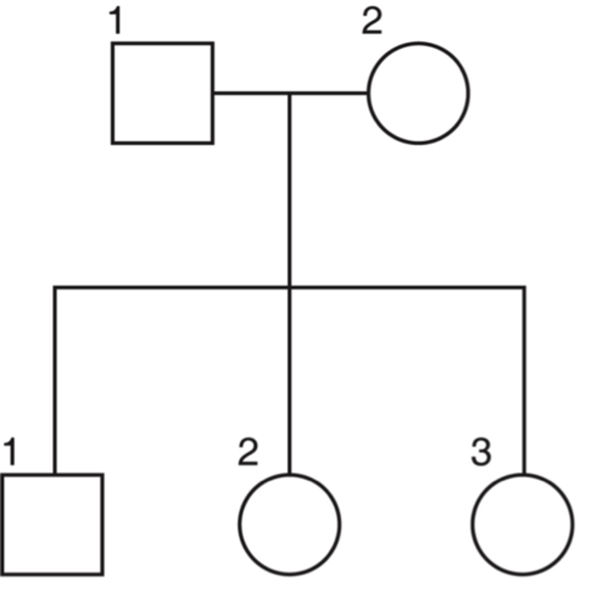 <p>what represents children on a pedigree?</p>