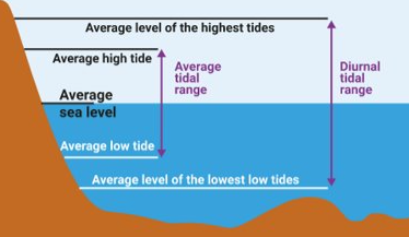 <ul><li><p>1 episode of high water and 1 episode of low water each day</p></li><li><p>occur in locations when the moon is farthest from the equator</p></li></ul>