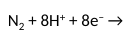 <p>What family are plants that fix N in? </p><p>Describe the family and some species that are found in it.</p><p>What is N fixation due to?</p><p>What are the products of the reaction in the diagram? (2) What enzyme catalyses it?</p>