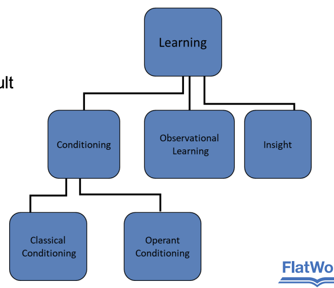 <p>relatively permanent change in <u>behavior or knowledge</u> that’s the result of <u>experience</u></p>