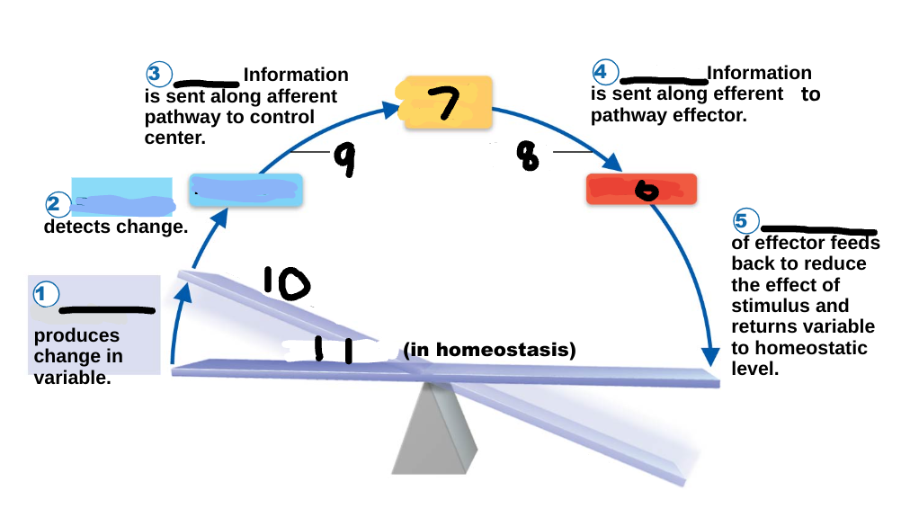 <p>10</p>