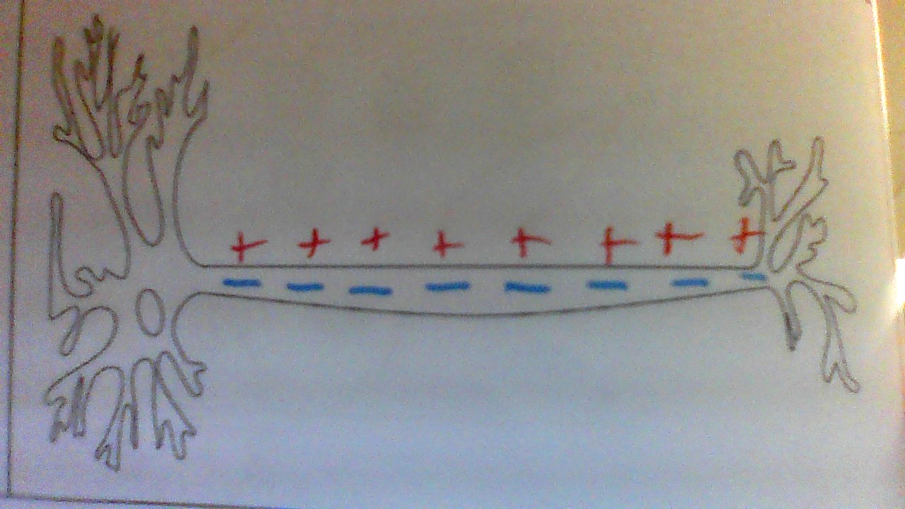 <p>(last step)</p>