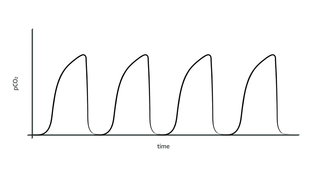 <p>What is this wave form?</p>