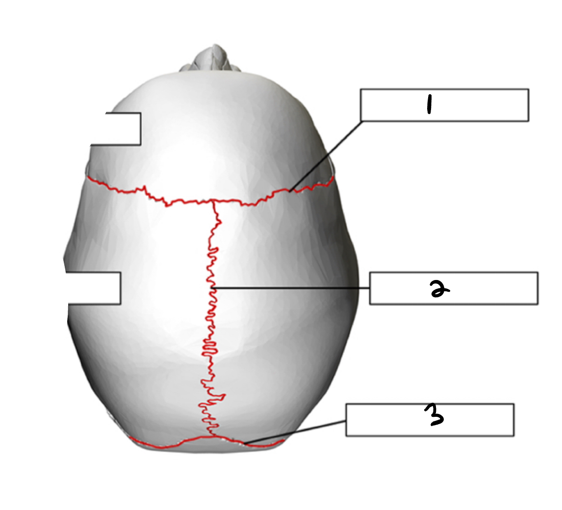 <p>2</p>