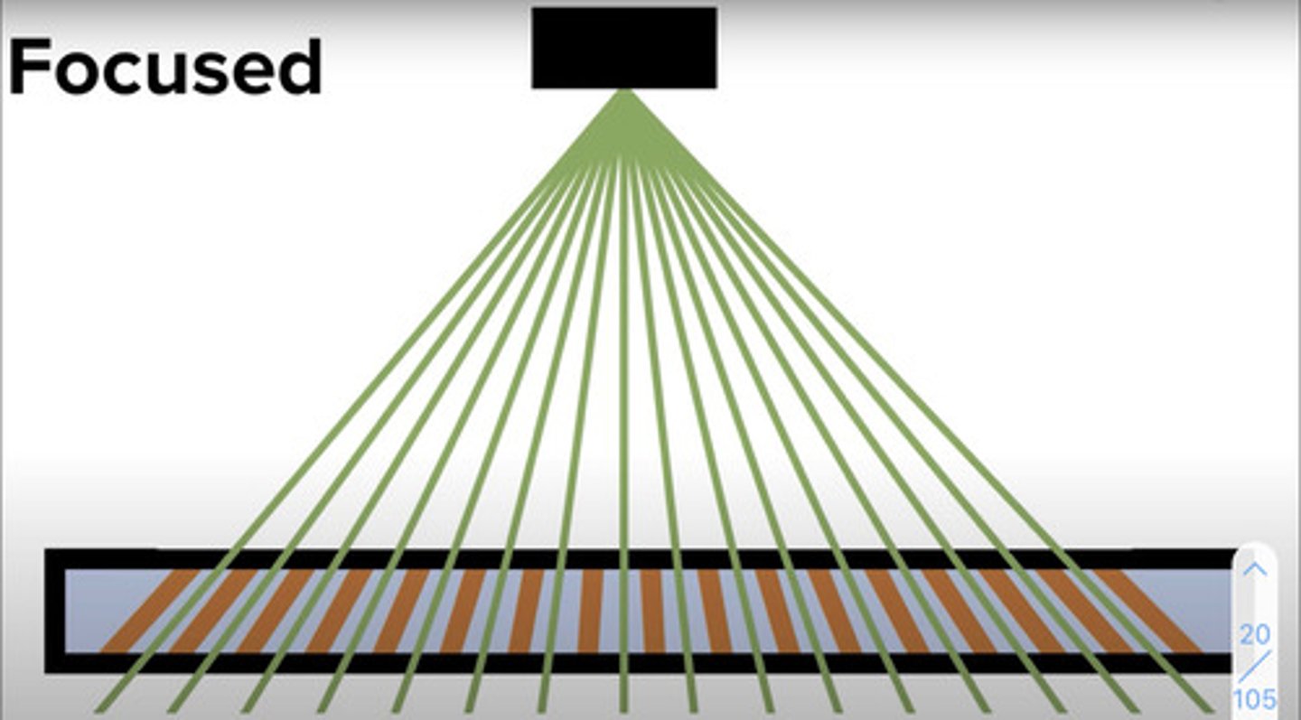 <p>Lead strips angled to match angle of x-ray beam</p>