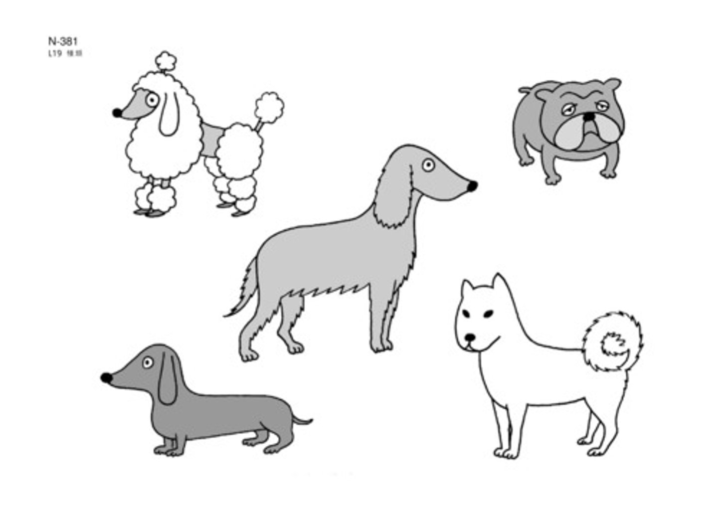 <p>しゅるい</p><p>chủng loại</p><p>種類が多い</p><p>Nhiều chủng loại</p>