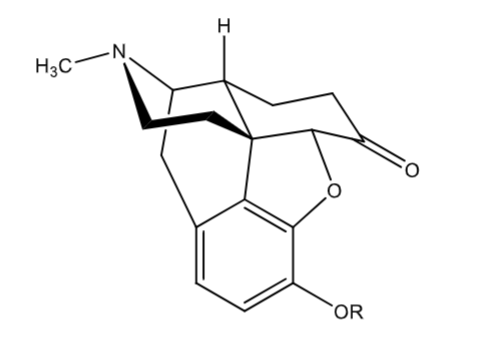 <p>Dilaudid, Exalgo</p><p>4-7.5x potency of morphine</p><p>less incidence of OIP</p><p>R = H</p>