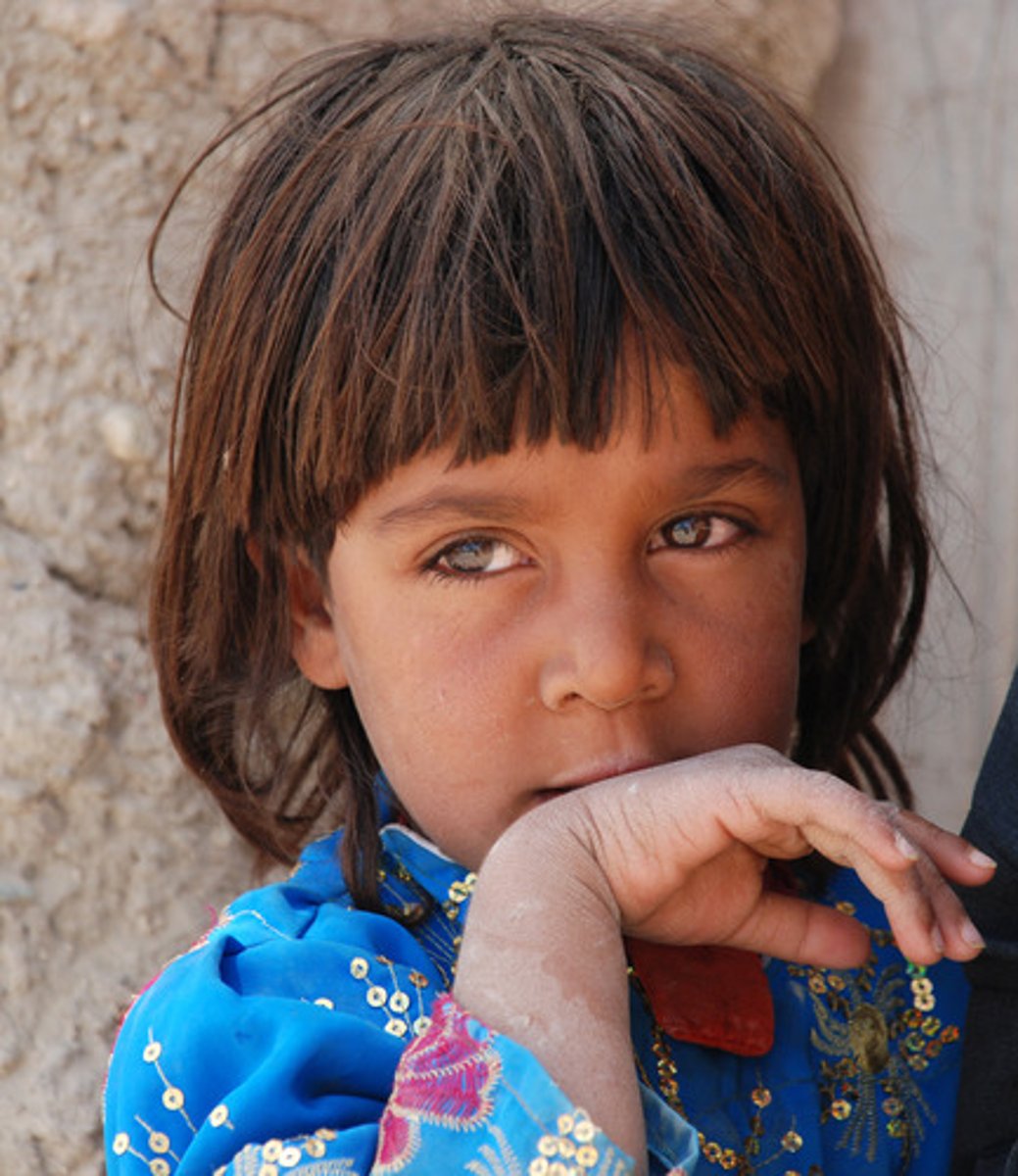 <p>the girl</p>