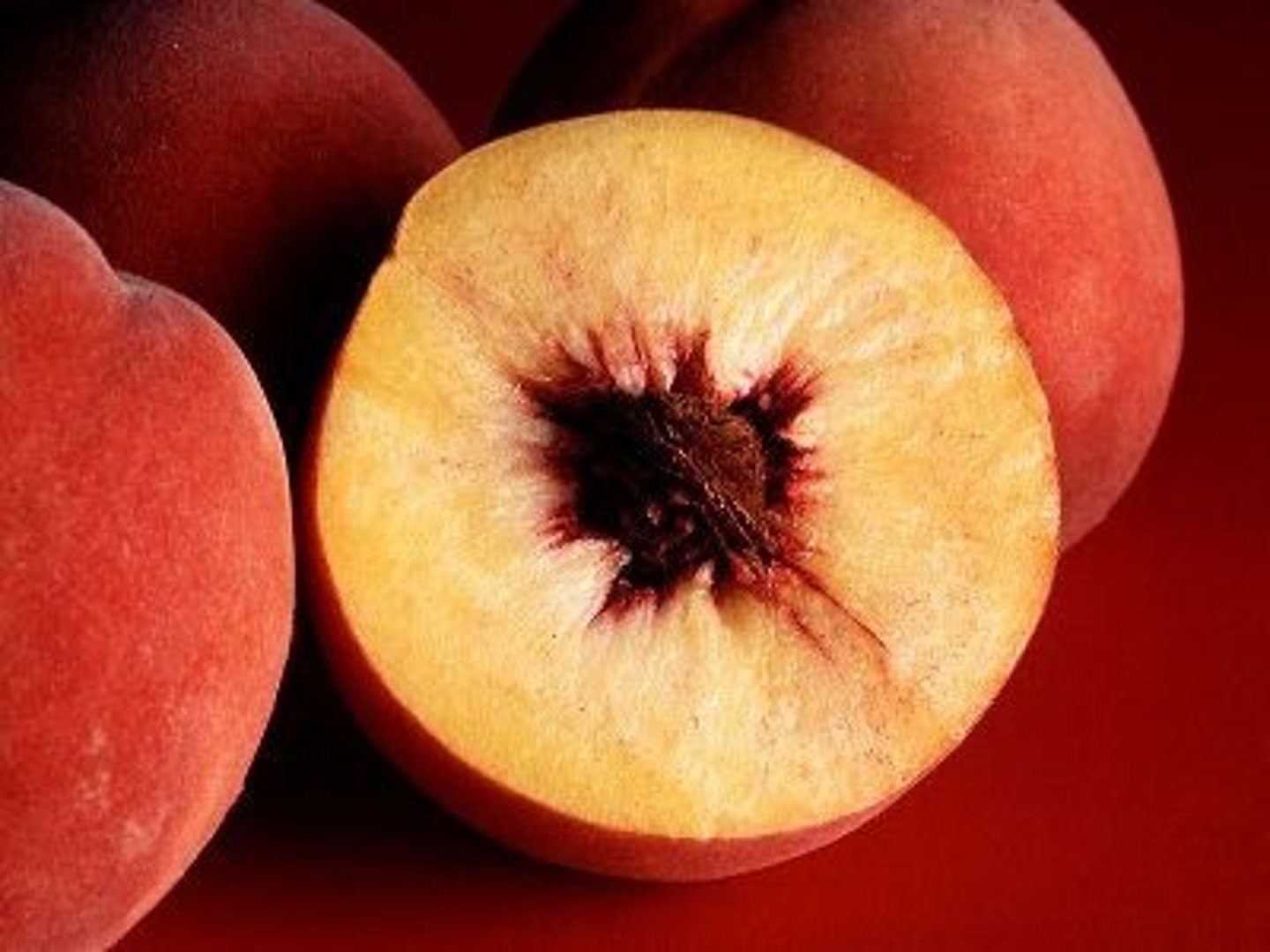 <p>= A fruit derived from a single carpel or several fused carpels.</p>