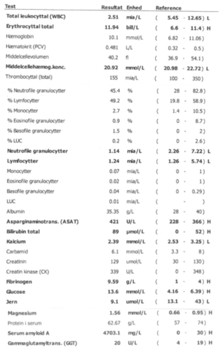 <p>Du tilser en islandsk hest der er anorektisk og har 39,8 i feber. Hvad kan du sige ud fra blodprøven?</p><p>- Kronisk inflammation karakterisert ved leukopeni, hyperglykæmi, forøget fibrinogen og SAA samt faldi jern</p><p>- Leverinsufficiens og inflammation karakteriseret ved øget bilirubin, leukopeni, forøget fibrinogen og SAA</p><p>- Infektion karakteriseret ved leukopeni, forøget fibrinogen og SAA samt fald i jern</p><p>- Akut inflammation karakteriseret ved leukopeni, forøget fibrinogen og SAA samt fald i jern</p>