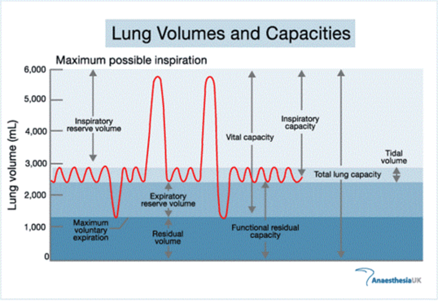 <p>the sum of the expiratory reserve volume and the residual volume.</p>